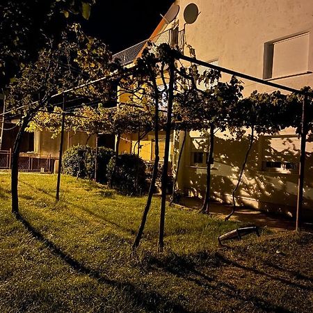 Entire 1-Bedroom Apartment With Free Parking ポドゴリツァ エクステリア 写真